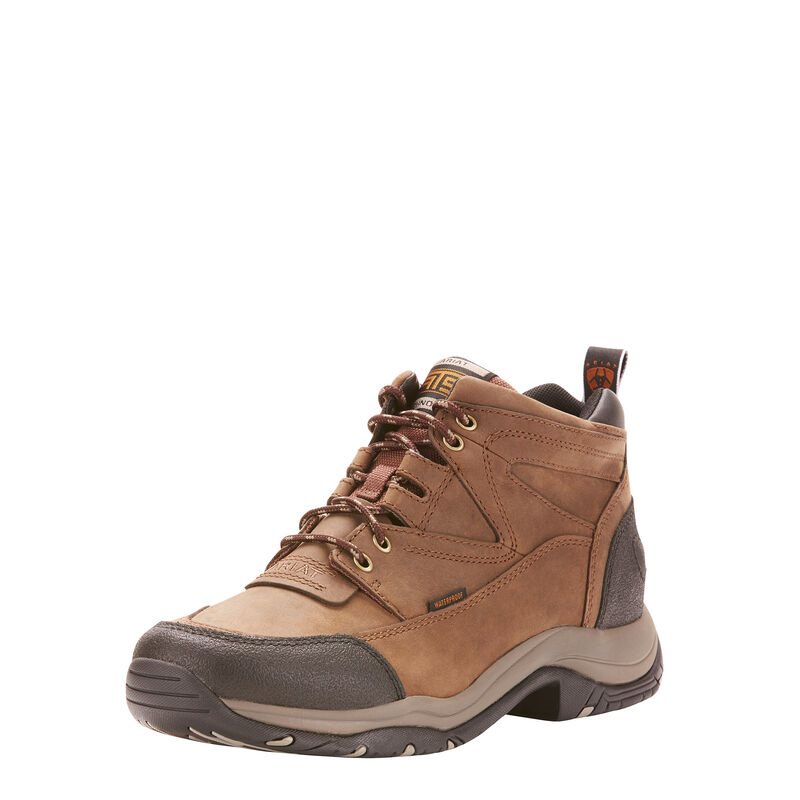 Ariat English: Terrain Waterproof Zapatillas Outdoor Hombre - Marrones (IQURE1459)